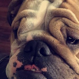 Meet your Posher, Rylee